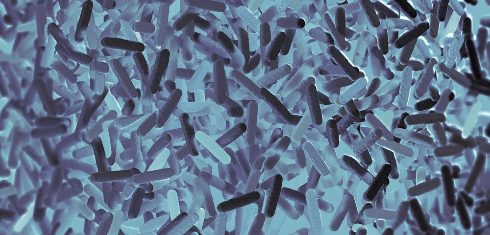 Ciertas bacterias dentro microbioma intestinal pueden detener la inflamación Naturalmente, dice estudio